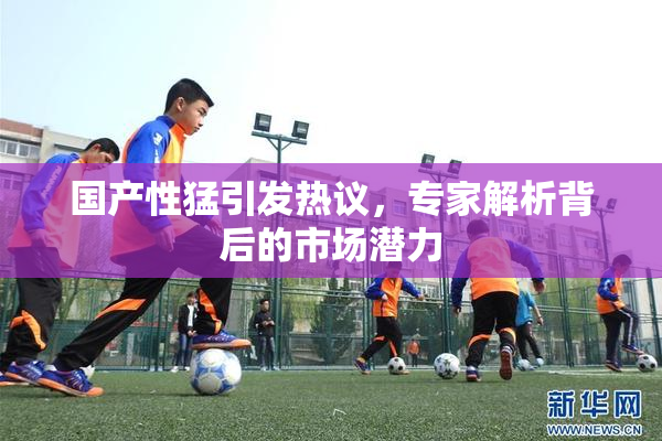 国产性猛引发热议，专家解析背后的市场潜力