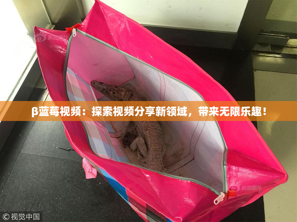 β蓝莓视频：探索视频分享新领域，带来无限乐趣！