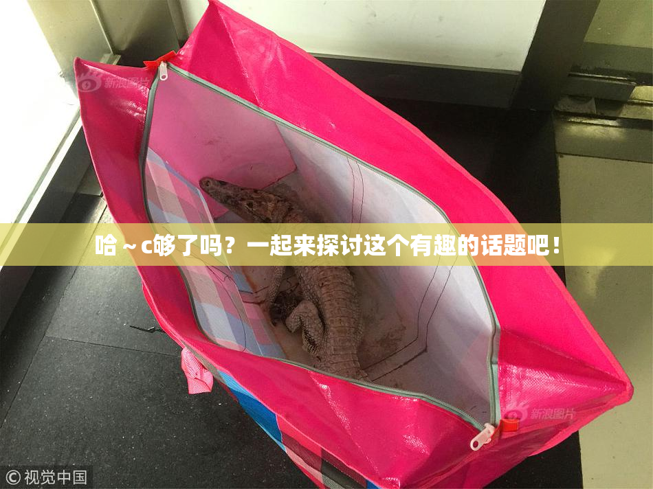 哈～c够了吗？一起来探讨这个有趣的话题吧！