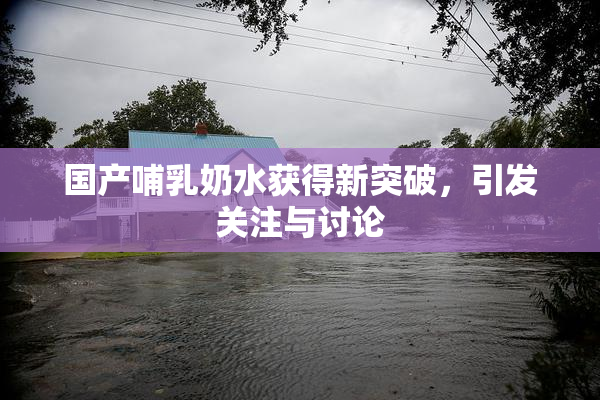 国产哺乳奶水获得新突破，引发关注与讨论