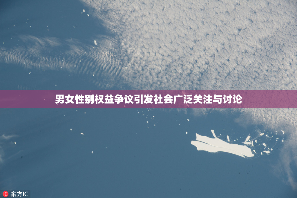 男女性别权益争议引发社会广泛关注与讨论