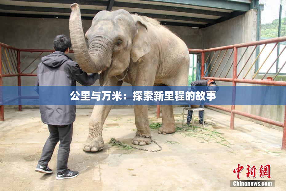 公里与万米：探索新里程的故事