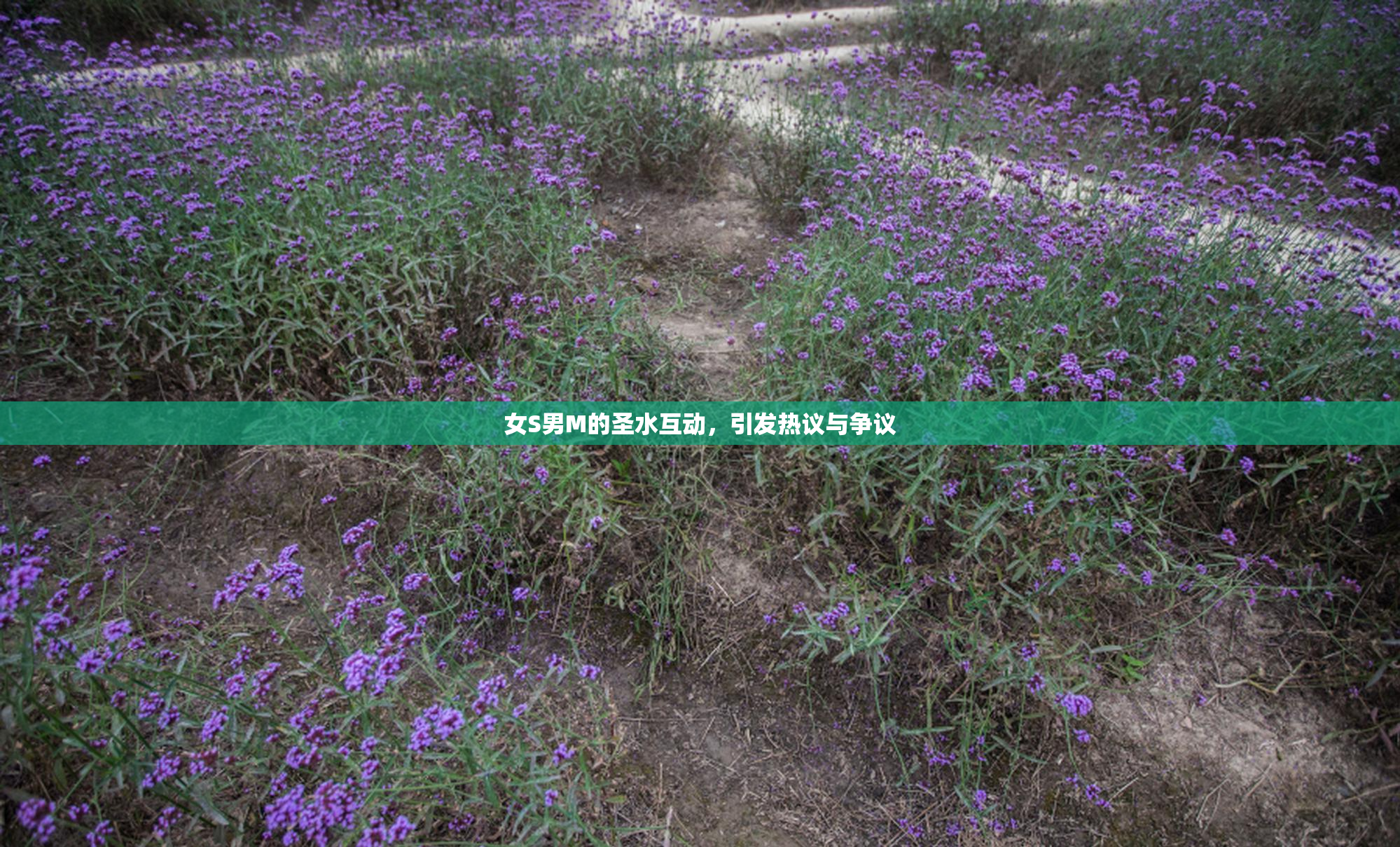 女S男M的圣水互动，引发热议与争议
