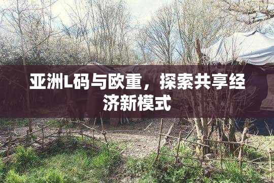 亚洲L码与欧重，探索共享经济新模式