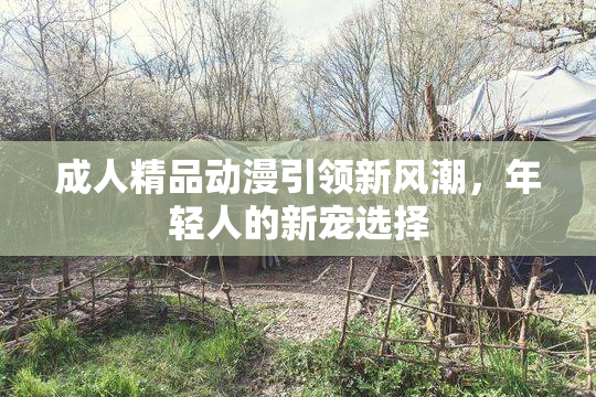 成人精品动漫引领新风潮，年轻人的新宠选择