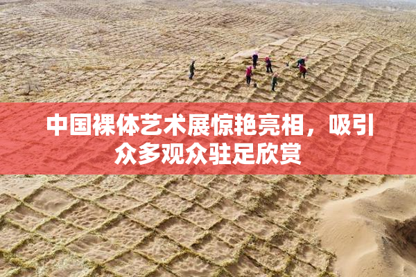 中国裸体艺术展惊艳亮相，吸引众多观众驻足欣赏