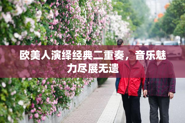 欧美人演绎经典二重奏，音乐魅力尽展无遗