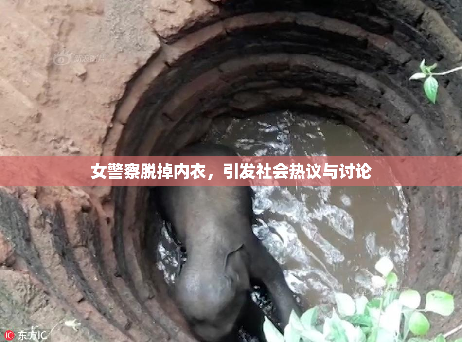 女警察脱掉内衣，引发社会热议与讨论