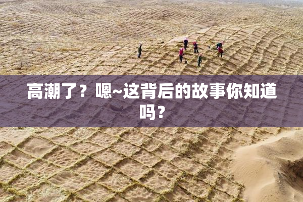 高潮了？嗯~这背后的故事你知道吗？
