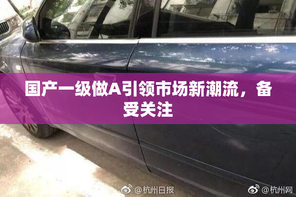 国产一级做A引领市场新潮流，备受关注