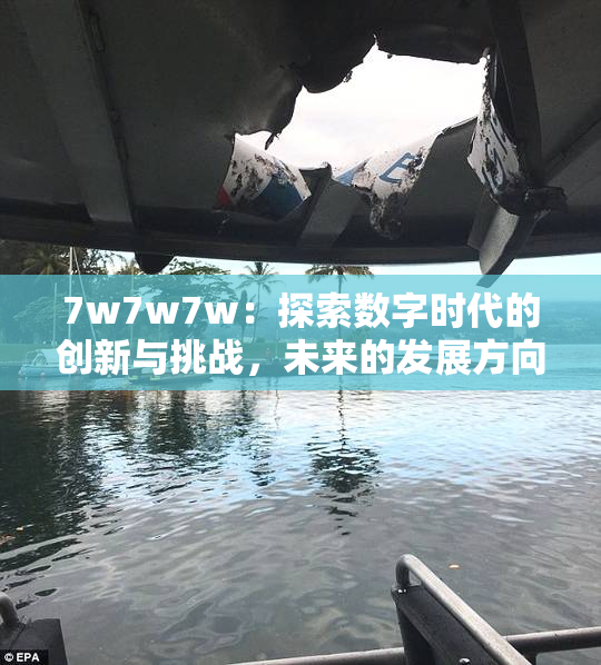 7w7w7w：探索数字时代的创新与挑战，未来的发展方向何在？