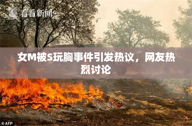 女M被S玩胸事件引发热议，网友热烈讨论