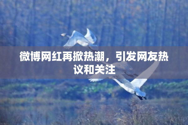 微博网红再掀热潮，引发网友热议和关注