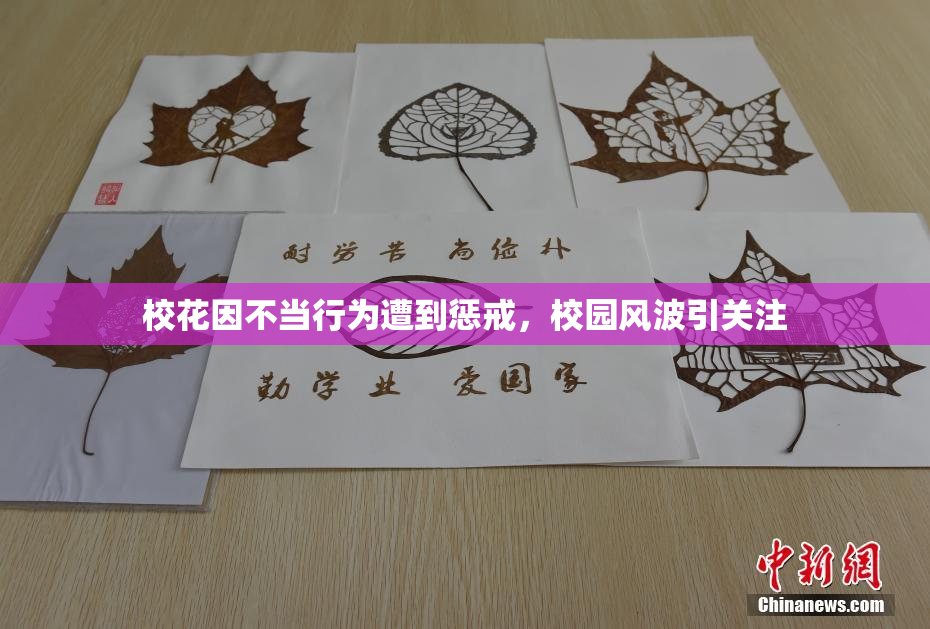 校花因不当行为遭到惩戒，校园风波引关注