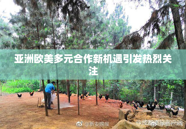 亚洲欧美多元合作新机遇引发热烈关注