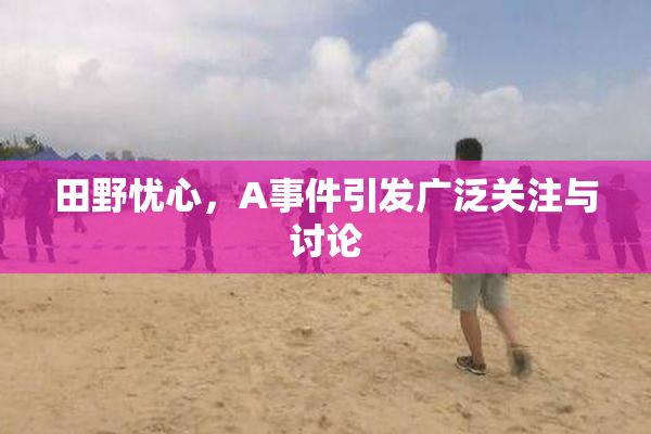 田野忧心，A事件引发广泛关注与讨论