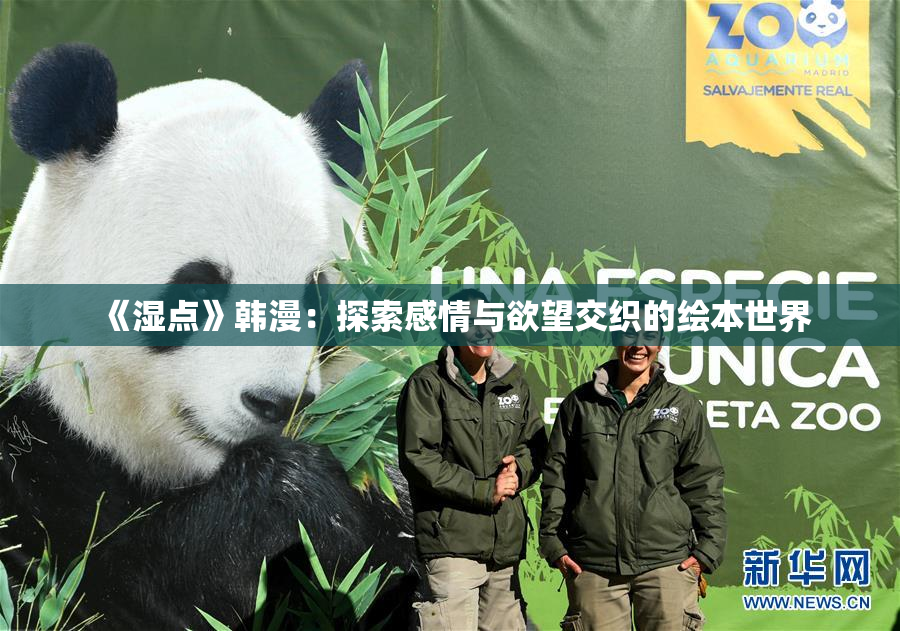 《湿点》韩漫：探索感情与欲望交织的绘本世界