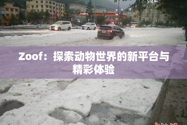 Zoof：探索动物世界的新平台与精彩体验