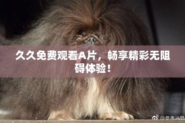 久久免费观看A片，畅享精彩无阻碍体验！