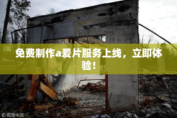 免费制作a爰片服务上线，立即体验！