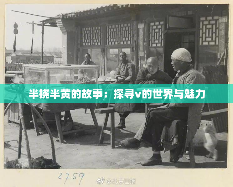 半挠半黄的故事：探寻v的世界与魅力