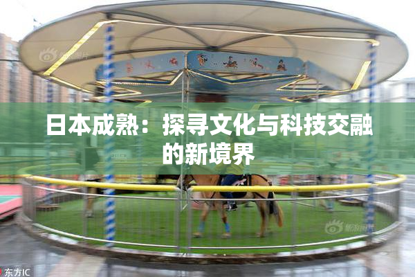 日本成熟：探寻文化与科技交融的新境界