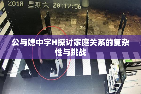 公与媳中字H探讨家庭关系的复杂性与挑战