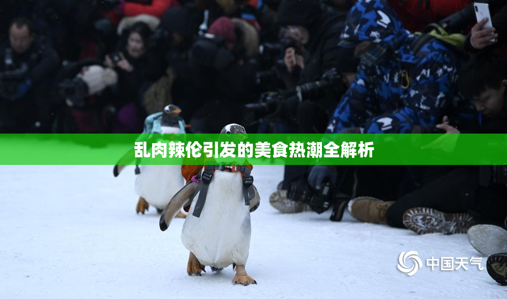 乱肉辣伦引发的美食热潮全解析