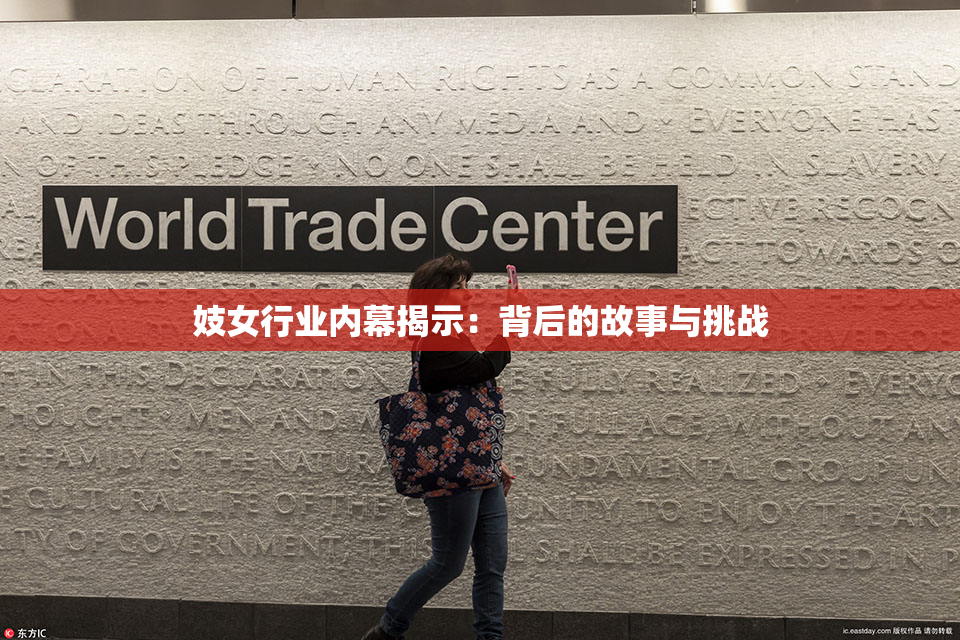 妓女行业内幕揭示：背后的故事与挑战