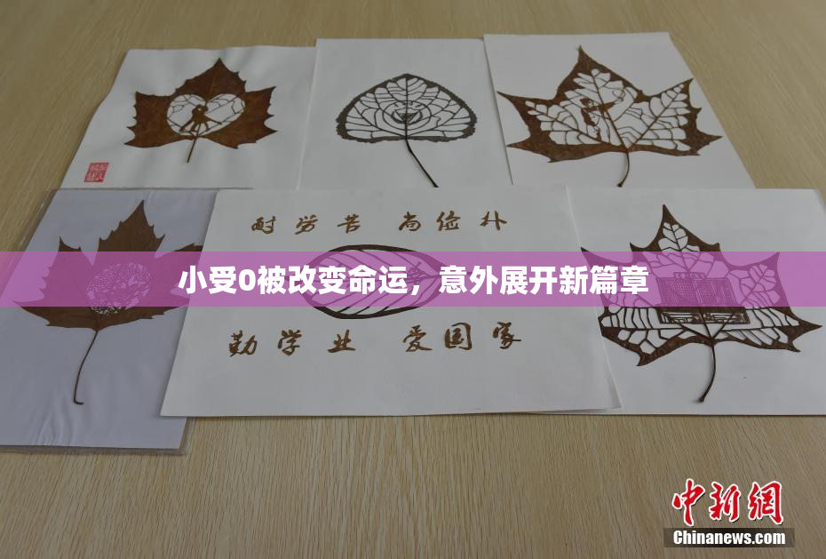 小受0被改变命运，意外展开新篇章