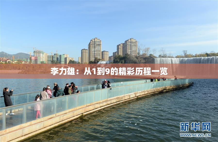 李力雄：从1到9的精彩历程一览