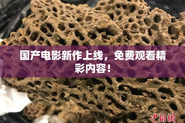 国产电影新作上线，免费观看精彩内容！
