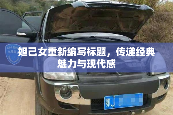 妲己女重新编写标题，传递经典魅力与现代感