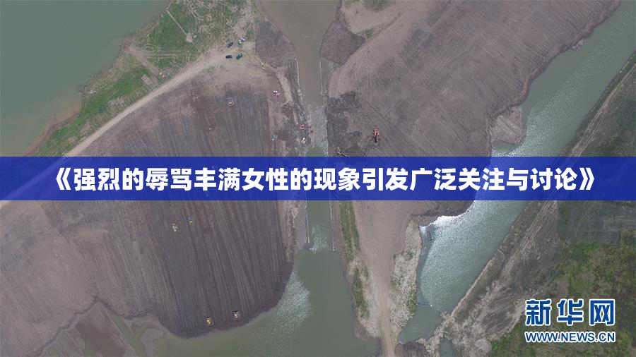《强烈的辱骂丰满女性的现象引发广泛关注与讨论》