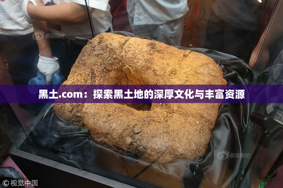 黑土.com：探索黑土地的深厚文化与丰富资源