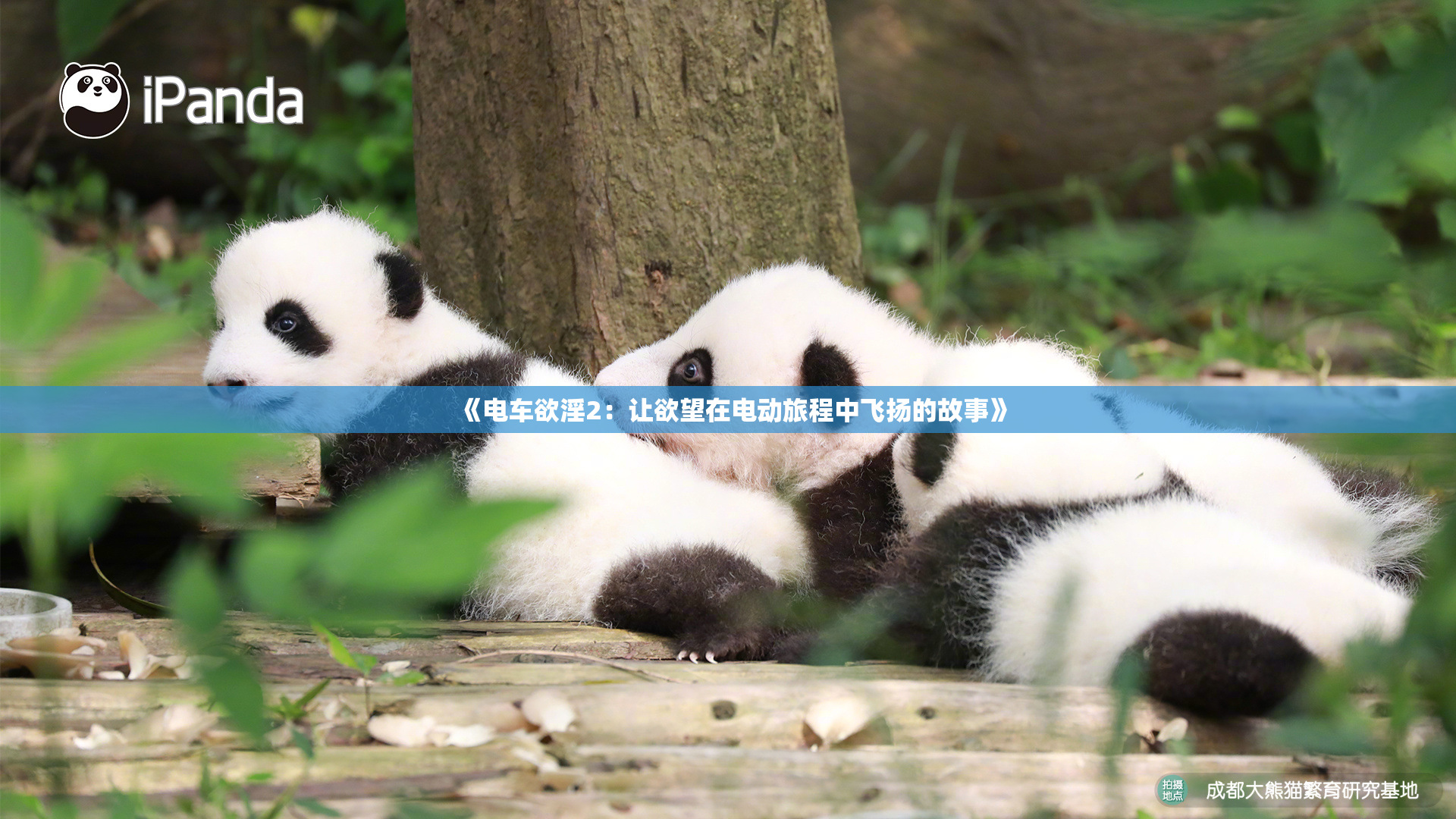 《电车欲淫2：让欲望在电动旅程中飞扬的故事》