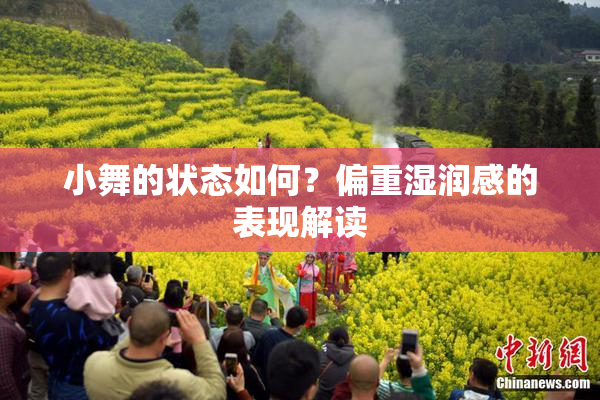 小舞的状态如何？偏重湿润感的表现解读