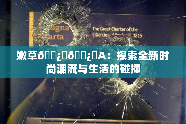 嫩草🌿‌🌿‌A：探索全新时尚潮流与生活的碰撞