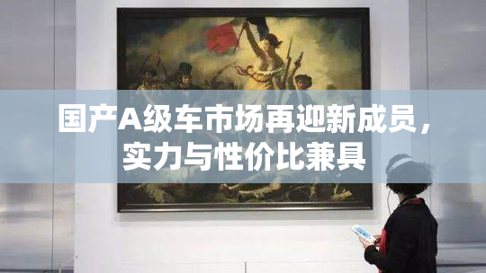 国产A级车市场再迎新成员，实力与性价比兼具