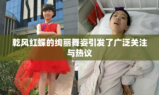 乾风红蝶的绚丽舞姿引发了广泛关注与热议