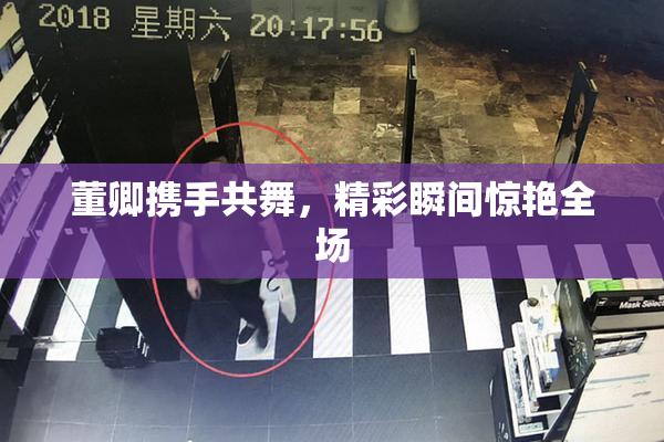 董卿携手共舞，精彩瞬间惊艳全场