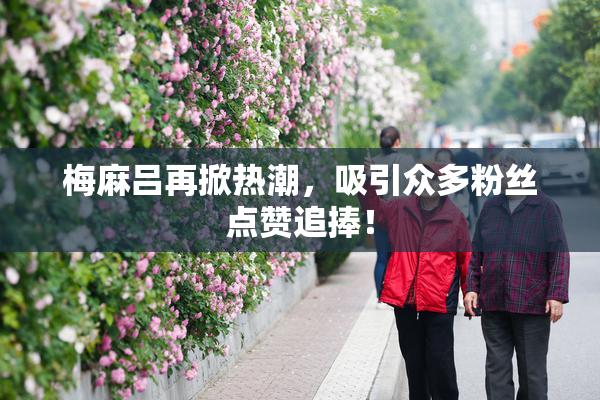 梅麻吕再掀热潮，吸引众多粉丝点赞追捧！