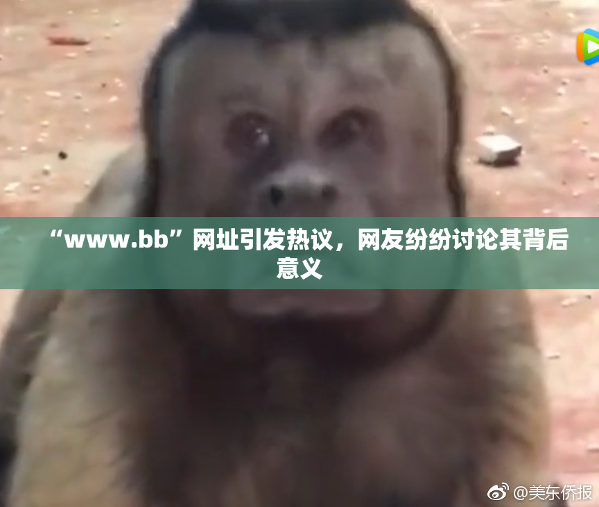 “www.bb”网址引发热议，网友纷纷讨论其背后意义