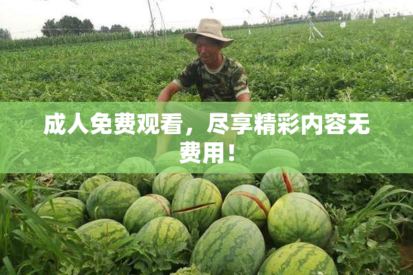 成人免费观看，尽享精彩内容无费用！