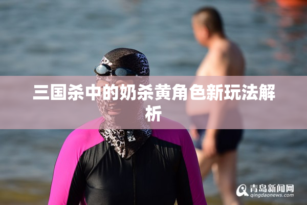 三国杀中的奶杀黄角色新玩法解析