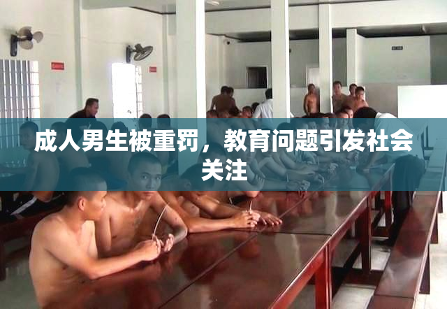 成人男生被重罚，教育问题引发社会关注