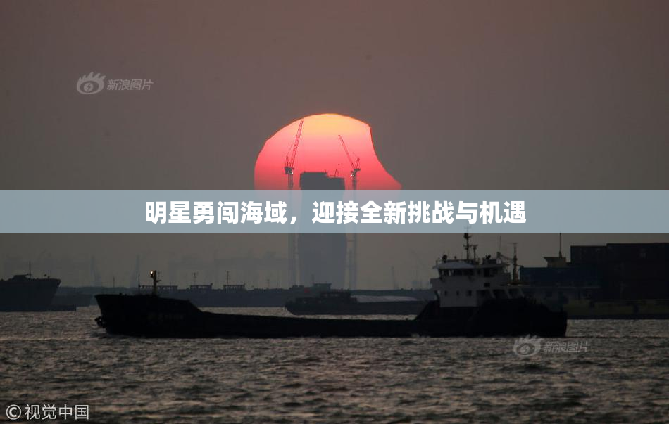 明星勇闯海域，迎接全新挑战与机遇