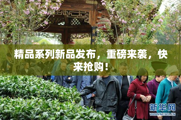 精品系列新品发布，重磅来袭，快来抢购！