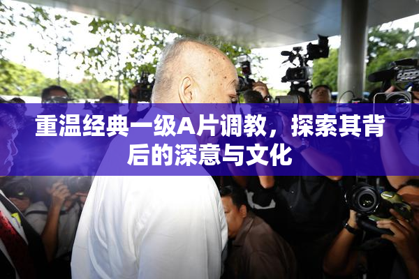 重温经典一级A片调教，探索其背后的深意与文化