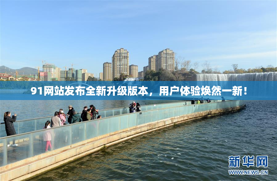 91网站发布全新升级版本，用户体验焕然一新！